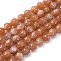 Peach Moonstone Натуральный персиковый лунный камень, круглые, 8 мм, около 46 шт / нитка, 14.96'' (38 см)