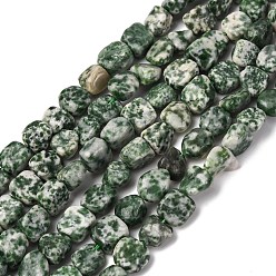 Камень с Зелеными Точками Натуральные зеленые пятна яшмовых нитей, самородки, упавший камень, 8~11x8~11x5~7 мм, отверстие : 1 мм, около 45 шт / нитка, 15.75'' (40 см)