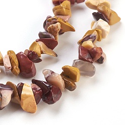 Mookaite Natural Mookaite Beads Strands, Chip, 4~18x3~10mm, Hole: 0.5mm, 33.5 inch(85cm)