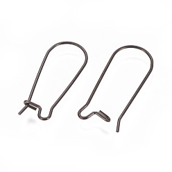 Electrophoresis Black 304 Stainless Steel Hoop Earrings Findings Kidney Ear Wires, Electrophoresis Black, 25x10x0.7mm, 21 Gauge