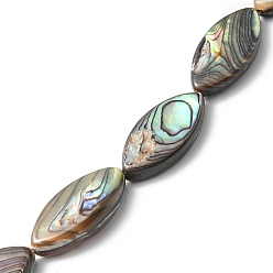 Paua Shell Natural Paua Shell Beads Strands, Horse Eye, 23x11x4.5~5mm, Hole: 0.5mm, about 18pcs/strand, 16.22 inch(41.2cm)