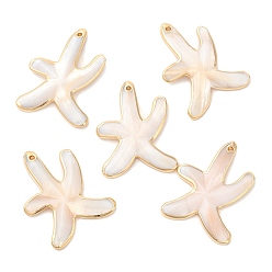 Freshwater Shell Natural Freshwater Shell Pendants, Golden Plated Brass Edged Starfish Charms, 37.5x28.5x4mm, Hole: 1.5mm