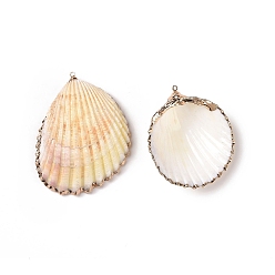 Shell Shell Pendants, with Iron Findinggs, Shell, Light Gold, 36~48x29~38x12~15mm, Hole: 2~2.5mm