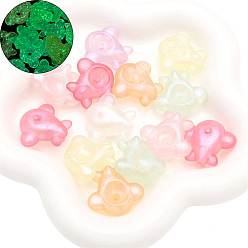 Airplane Светящиеся прозрачные акриловые бусины, с блеском порошок, светится в темноте, самолет, 28x26 мм, о 6 шт / комплект