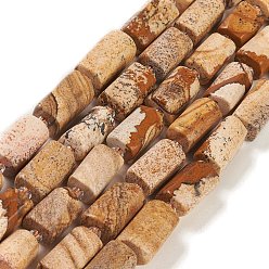 Picture Jasper Natural Picture Jasper Beads Strands, with Seed Beads, Faceted, Column, 5.5~7.5mm, Hole: 0.7mm, about 26~33pcs/strand, 15.67''~16.46''(39.8~41.8cm)