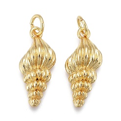 Настоящее золото 18K Латунные подвески, с прыжковых колец, долговечный, формы раковины, реальный 18 k позолоченный, 19x8.5x5 мм, отверстие : 3 мм