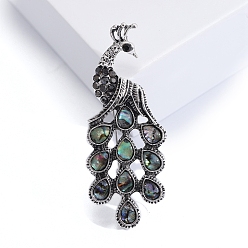 Серебро Брошь в виде ракушки павлина, модный аксессуар для лацкана, серебряные, 64x25 мм