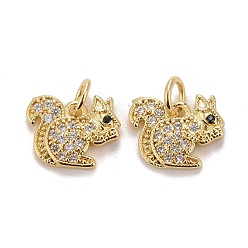 Golden Autumn Theme Brass Micro Pave Clear & Black Cubic Zirconia Charms, Squirrel, Golden, 12x12.5x2mm, Jump Ring: 5x0.8mm, Inner Diameter: 3.4mm