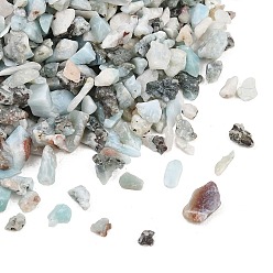 Ларимар Природные Larimar бусы, бусины без отверстий , чипсы, 3~8x1~4 мм