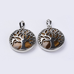 Tiger Eye Natural Tiger Eye Pendants, with Platinum Plated Brass Findings, Flat Round with Tree of Life, 31x27x8mm, Hole: 3.5x7mm