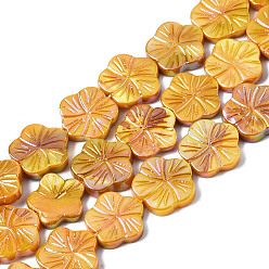 Goldenrod Natural Freshwater Shell Beads Strands, AB Color Plated, Dyed, Flower, Goldenrod, 12.5x13x2.5mm, Hole: 0.7mm, about 30pcs/strand, 14.25~14.76 inch(36.2~37.5cm)