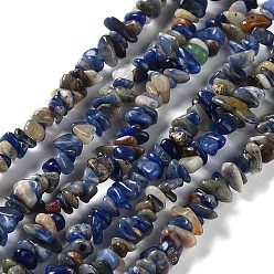 Sodalite Natural Sodalite Beads Strands, Chip, 4~12x3~5x1~4mm, Hole: 0.5mm, 16.06''(40.8cm)