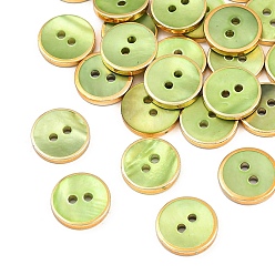 Amarillo de Verde 2-botón de concha de labio negro natural con orificio, plano y redondo, verde amarillo, 11.5x2 mm, agujero: 1.5 mm