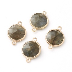 Labradorite Labradorite Links Connectors, with Golden Tone Brass Findings, Faceted Half Round, 20x14x5mm, Hole: 1.5mm