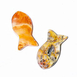 Crazy Agate Natural Crazy Agate Pendants, Fish Charms, 38x20mm