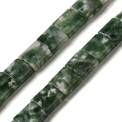Камень с Зелеными Точками Натуральные зеленые пятна яшмовых нитей, 2-луночное, квадратный, 5.5x5.5x2.5 мм, отверстие : 0.8 мм, около 71 шт / нитка, 15.24 дюйм (38.7 см)