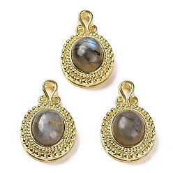 Labradorite Natural Labradorite Pendants, Oval Charms with Rack Plating Golden Tone Brass Findings, Cadmium Free & Lead Free, 28x17.5x10mm, Hole: 3x4.5mm