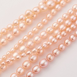 Light Salmon Natural Cultured Freshwater Pearl Graduated Beads Strands, Grade AAAA, Oval, Light Salmon, 4~10x4~9mm, Hole: 0.5mm, about 60~62pcs/strand, 15.7 inch(40cm)