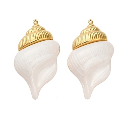 Chapado en Oro Real 18K 304 Colgantes grandes de acero inoxidable y acrílico, concha, revestimiento de iones (ip), real 18 k chapado en oro, 60x33x9.5 mm, agujero: 1.6 mm