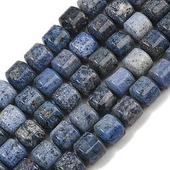 Dumortierite Natürliche Dumortierit-Perlenstränge, Kolumne, 10x10 mm, Bohrung: 1 mm, ca. 39 Stk. / Strang, 15.55'' (39.5 cm)