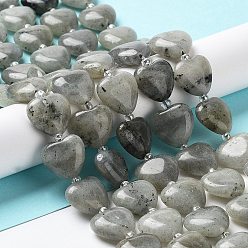 Labradorite Natural Labradorite Beads Strands, with Seed Beads, Heart, 14~15x15x6~6.5mm, Hole: 1.4mm, about 23~24pcs/strand, 14.57''(37cm)