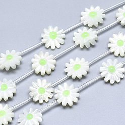 Pale Green Natural White Shell Mother of Pearl Shell Beads, with Enamel, Flower, Pale Green, 11.5x11.5x4mm, Hole: 0.8mm