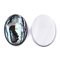 Colorful Natural Abalone Shell/Paua Shell Cabochons, with Freshwater Shell, Oval, Colorful, 25x18x3mm