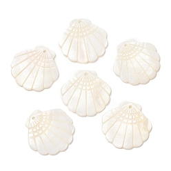 Freshwater Shell Natural Freshwater Shell Pendants, Shell Shaped Charms, Seashell Color, 28.5x29.5x2mm, Hole: 1.6mm