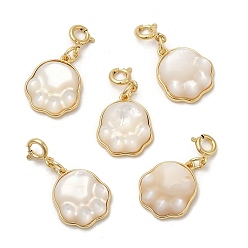 Real 14K Gold Plated Natural White Shell Cat Paw Print Pendant Decorations, with Brass Spring Ring Clasps, Real 14K Gold Plated, 26mm