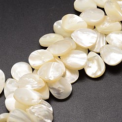 Creamy White Natural Trochid Shell/Trochus Shell Beads Strands, Top Drilled Beads, Teardrop, Creamy White, 16x12x3~4mm, Hole: 1mm, about 46pcs/strand, 12 inch