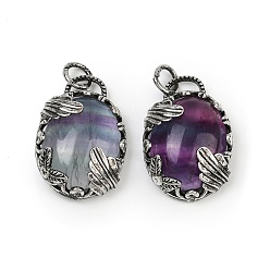 Флюорит Натуральные красочные подвески из флюорита, овальные подвески с латунной оправой, античное серебро, 30.5~31x21~21.5x8~8.5 мм, отверстие : 5.5 мм