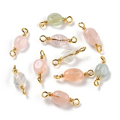 Морганит Соединители из натурального морганита, с золотой медной проволокой, без кадмия и без свинца, чип, 13~19x3.5~8 мм, отверстие : 1.5 мм