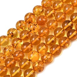 Янтарный Янтарные шарики нити, круглые, 7.5~8 мм, отверстие : 0.5 мм, около 48 шт / нитка, 14.76 дюйм (37.5 см)