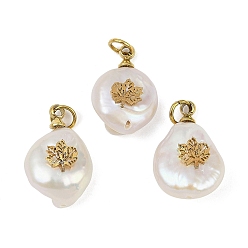 Лист Натуральные кеши жемчужные подвески, подвески-слезинки с 316 ломтиками из нержавеющей стали, ионное покрытие (ip), реальный 18 k позолоченный, цветочный белый, лист, 15~18x10~12x6~7 мм, отверстие : 2.8 мм