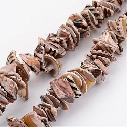 Camel Natural Shell Bead Strands, Dyed, Nuggets, Camel, 10~20x8~12x3~6mm, Hole: 1mm, about 15.7 inch