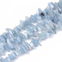 Aquamarine Natural Aquamarine Beads Strands, Chip, 8~25x5~10x1~5mm, Hole: 1mm, about 120~130pcs/Strand, 15.75 inch(40cm)