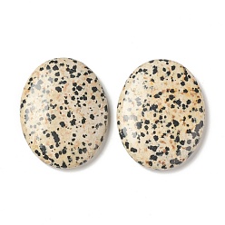 Dalmatian Jasper Natural Dalmatian Jasper Worry Stone for Anxiety Therapy, Oval Thumb Stone, 45x34~35x7~8.5mm
