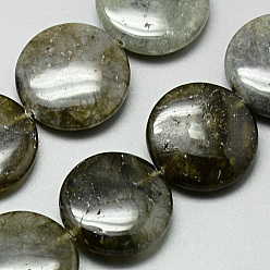 Labradorite Chapelets de perles labradorite naturelle , plat rond, 20x4~7mm, Trou: 1mm, Environ 20 pcs/chapelet, 15.7 pouce