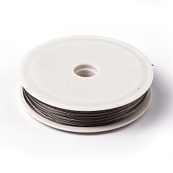 Raw Tiger Tail Wire, Nylon-coated Stainless Steel, Original Color(Raw), Raw, 0.6mm, about 131.23 Feet(40m)/roll