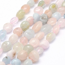 Morganite Natural Morganite Beads Strands, Oval, 5~12x6~9x4~7mm, Hole: 1mm, about 50~53pcs/strand, 15.3 inch~15.7 inch