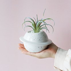 white planet Planet succulent flowerpot ceramic cute artistic decorative potted gardening