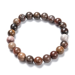 Petrified Wood Natural Petrified Wood Stretch Beaded Bracelets, Round, Inner Diameter: 2-1/8 inch(5.5cm), Beads: 8~9mm