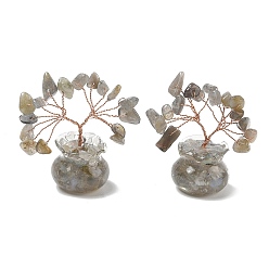 Labradorite Natural Labradorite Chips Tree of Life Decorations, with Glass Pot Base & Copper Wire, Feng Shui Energy Stone Gift for Home Desktop Decoration, 26x52~56mm