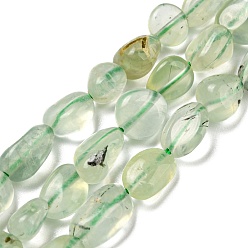 Prehnite Natural Prehnite Beads Strands, Nuggets, Tumbled Stone, 3~11x4~8x3~6mm, Hole: 0.9mm, about 56pcs/strand, 15.94''~15.75''(40~40.5cm)
