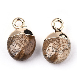 Picture Jasper Natural Picture Jasper Charms, Top Light Gold Plated, with Iron Loop, Oval, Faceted, 14~15x8x5mm, Hole: 1.8mm