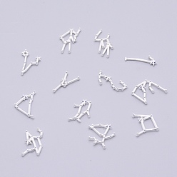 Silver Eco-Friendly Alloy Cabochons, 12 Constellations, for Floating Lockets Glass Living Memory Lockets, Epoxy Resin Supplies Filling, Cadmium Free & Nickel Free & Lead Free, Silver, 18~25x7~19x3mm, 12pcs/set