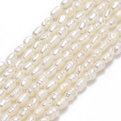 Льняное Полотно Нити из натурального культивированного пресноводного жемчуга, рис, белье, 1.8~2.3x2.7~3.5 мм, отверстие : 0.5 мм, около 117 шт / нитка, 14.57''~14.68" (37~37.3 см)