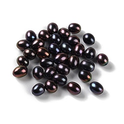 Black Dyed Natural Cultured Freshwater Pearl Beads, Half Drilled, Rice, Grade 5A+, Black, 6.5~7.5x5~6mm, Hole: 0.9mm