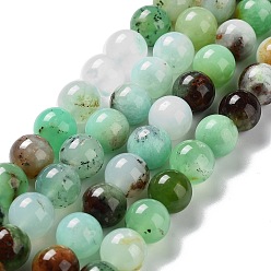Chrysoprase Natural Chrysoprase Beads Strands, Round, Grade AB, 10mm, Hole: 1mm, about 39pcs/strand, 15.35 inch(39cm)