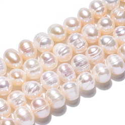 Seashell Color Grade AB Natural Cultured Freshwater Pearl Beads Strands, Potato, Seashell Color, 6.5~7.5x5~6mm, Hole: 0.8mm, about 54~55pcs/strand, 13.39 inch(34cm)